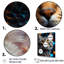 Impression sur toile American Shorthair Harmony Cat II - Cat-95895000-95895008