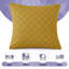 Square Cushion Cover-1701911699