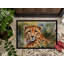 Lucine Non-Slip Doormat-79468254