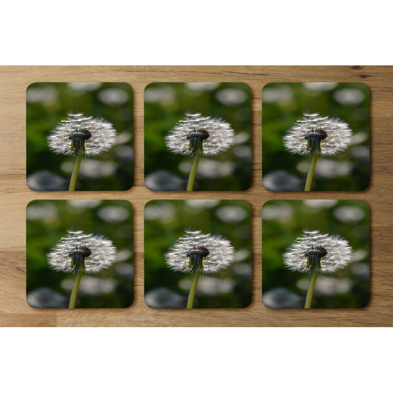 Square 6 Piece Coaster Set