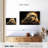Majestic Eagle-107706524
