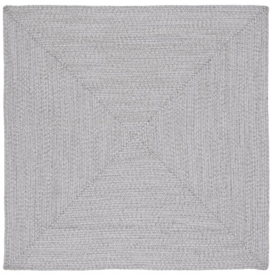 Edie Braided Indoor/Outdoor Rug