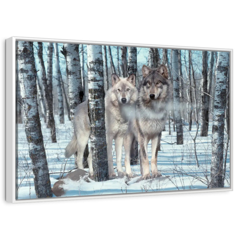 Ombres de neige, Cadre flottant blanc, 25 po x 17 po