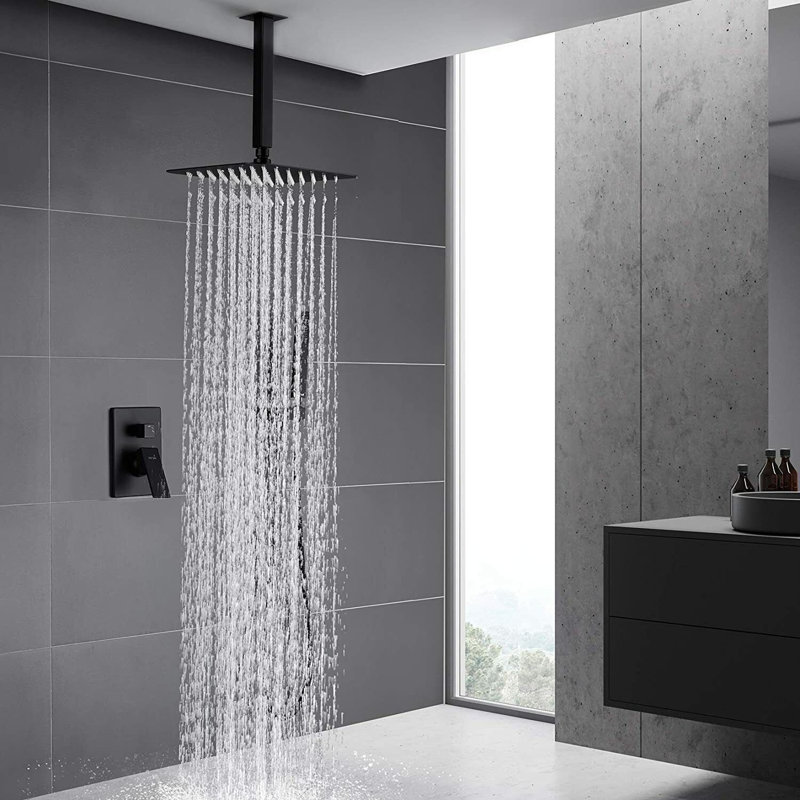 Ensemble de pommeau de douche et de poignées à plomberie noir, luminaires de plafond fixés au plafond,