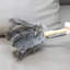 Brosse