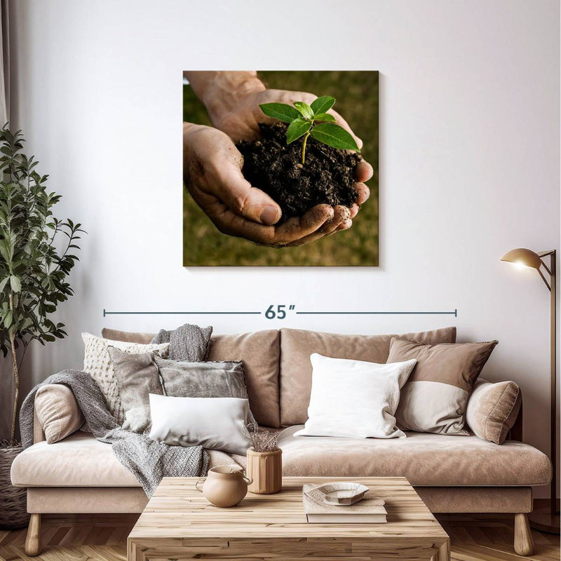 Senne New Seedling Sprouting, 36'' H x 36'' W