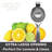 Oggi Prep Zinc Alloy Citrus Press