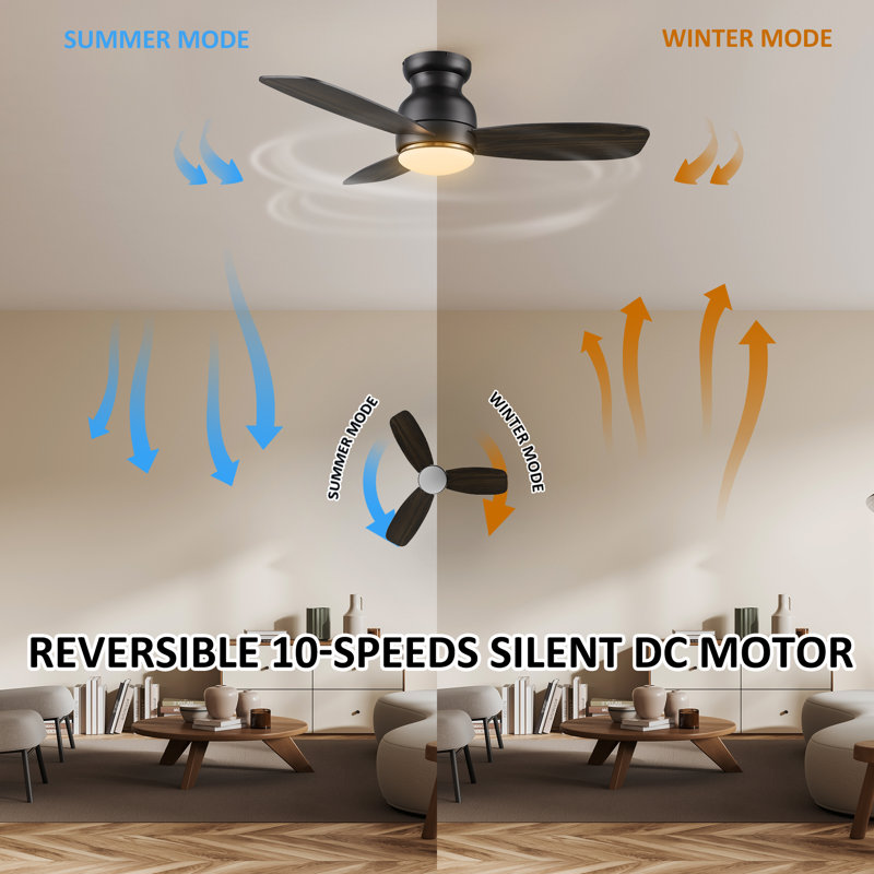 Ogdensburg 44'' Ceiling Fan with LED Lights, Dark Walnut/Gray Oak