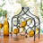 6 Wine Bottle Holder-1584460337