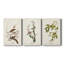 Pl. 58 Hermit Thrush - ensemble de 3 reproductions sur toiles tendues-806439891