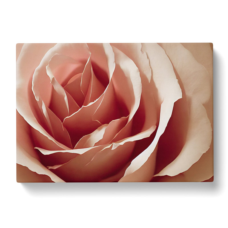 Royal Rose Flower - Wrapped Canvas Print, 40cm H x 60cm W x 3cm D