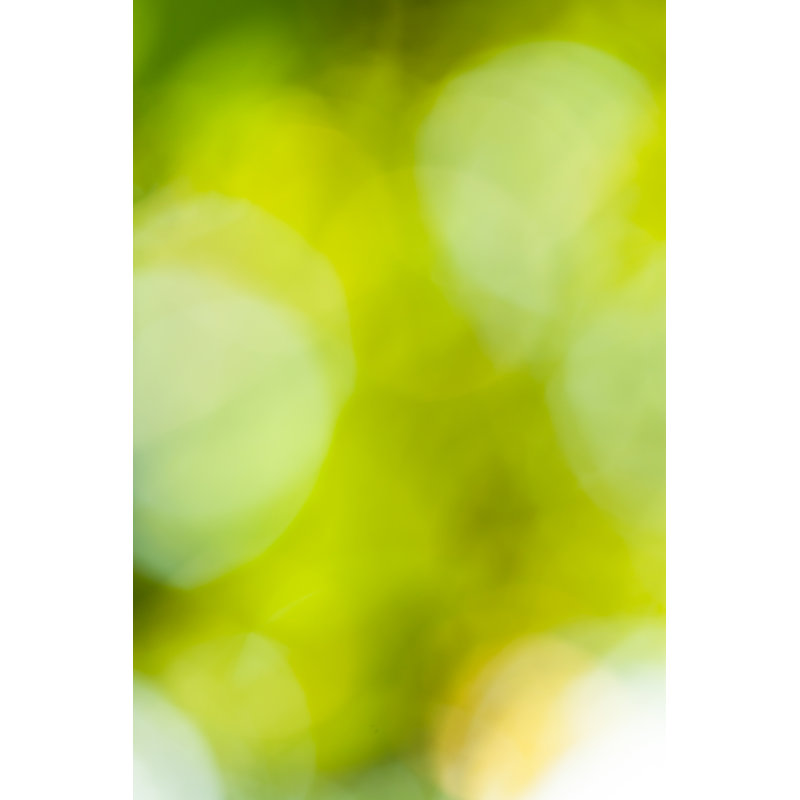 Green Background - Wrapped Canvas Print, 46cm H x 30cm W