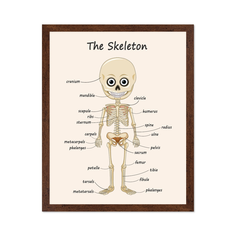 Le squelette, Poster, 16"H x 20"W, Brown Framed