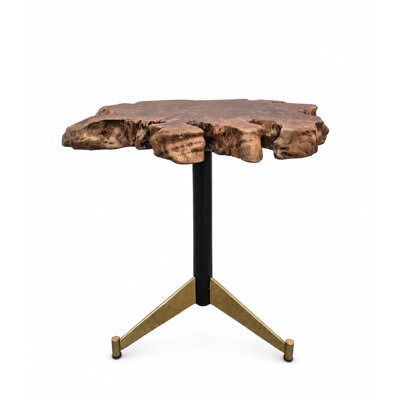 Table d'appoint organique et moderne en loupe de bois massif à bord naturel avec piètement trépied minimaliste en laiton