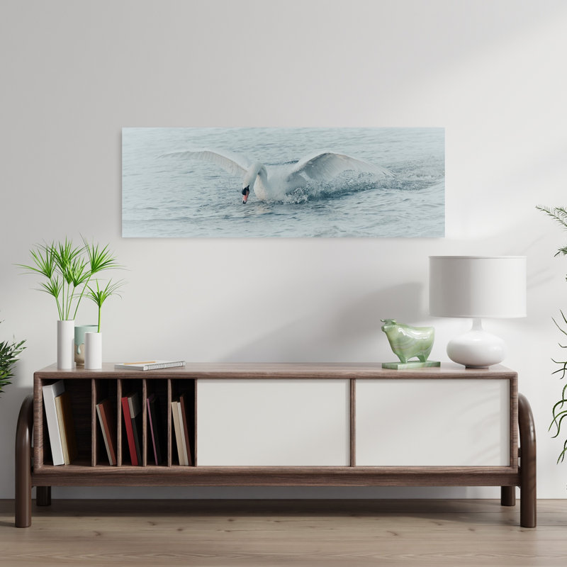 Cygne blanc, éclaboussure, sérénité, sérénité, oiseau, faune, H 12 po x l 36 po