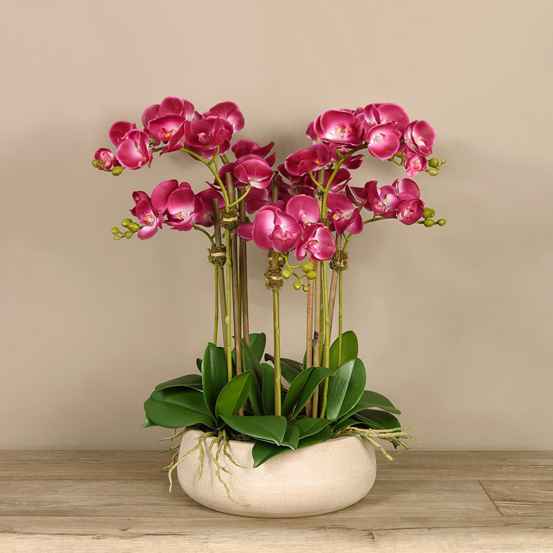 Orchid Floral Arrangement in Planter, Pink, Beige, 24" x 18"