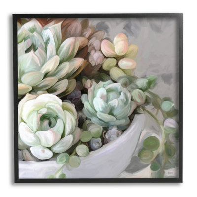 Arrangement succulent botanique en pot