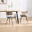 Modern Upholstered Dining Chairs With Backrest And Armrest, With Metal Frame, For Dining Room/Living Room-1660782366-1660782367