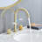 Widespread 2-handle Bathroom Faucet-69629562