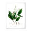 Plante brésilienne rétro II - peinture sur toile-59815037-59815045