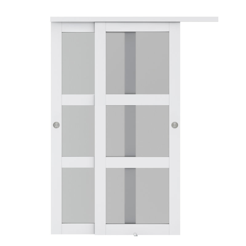 Porte coulissante double en verre trempé givré 3-Lite avec trousse de quincaillerie d'installation, H 80 po x l 60 po, Blanc