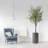 Faux Olive Tree Plant in Planter-487597147