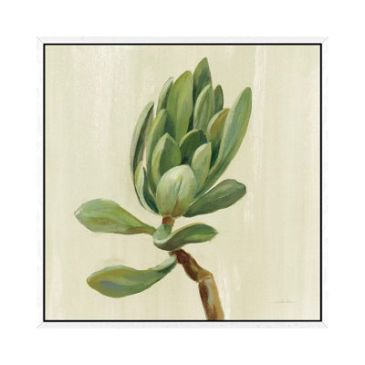 Front Yard Succulent III by Silvia Vassileva - Gallery-Wrapped Canvas Giclée on Canvas