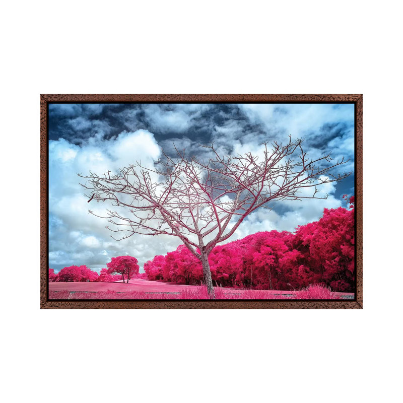Dry Tree Magenta - Sao Paulo, Brazil by Glauco Meneghelli - Print on Canvas, 101.6 cm H x 66.04 cm W