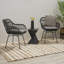 Chaises en faux rotin tissé avec coussins Rodney (ensemble de 2)-360060365