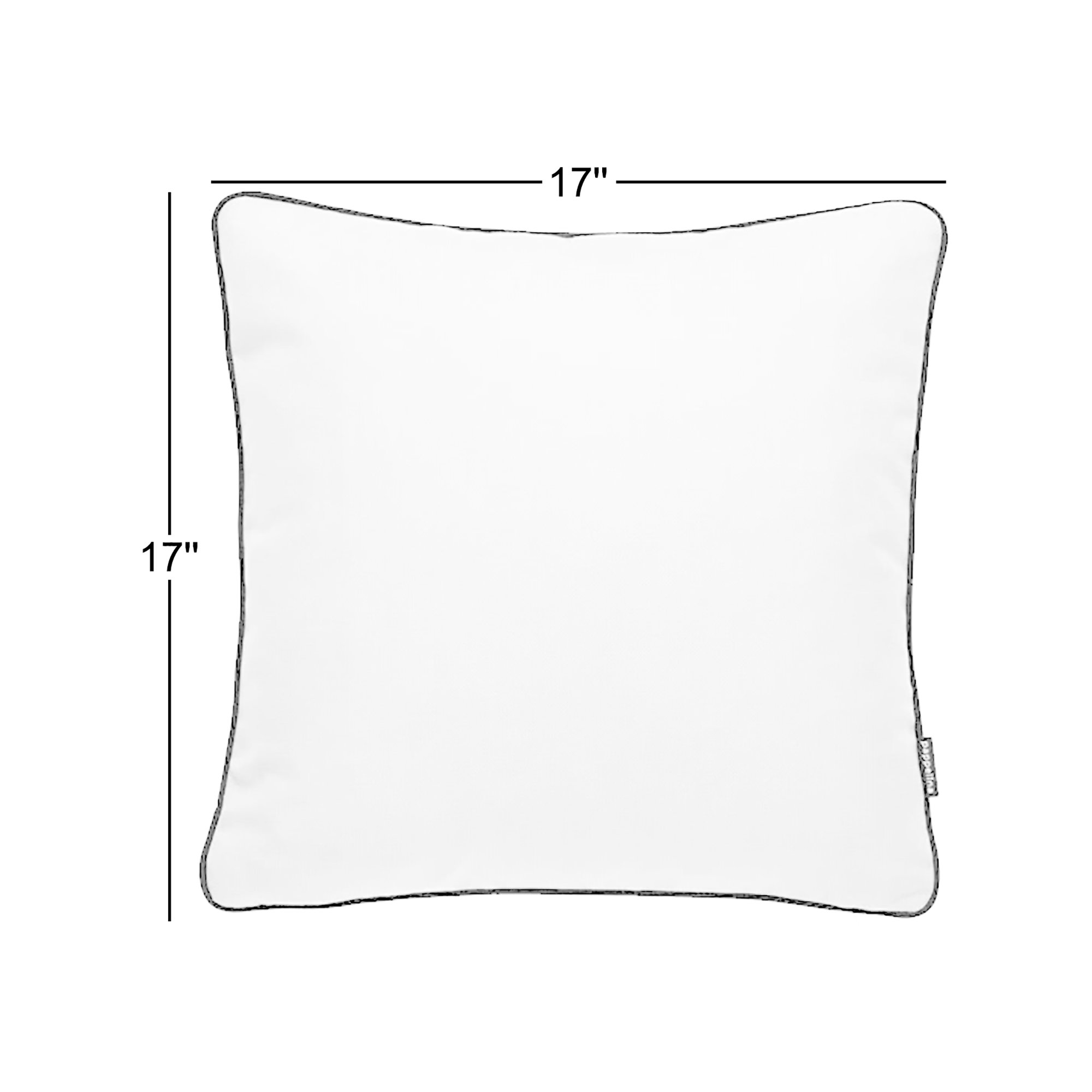 Ray Indoor/Outdoor Throw Pillow, Ivary