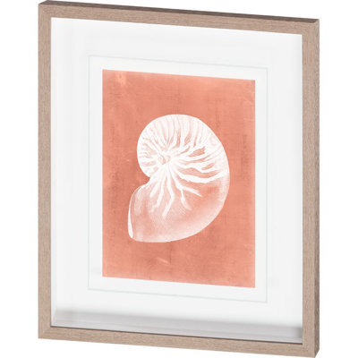 Sealife on Coral III by Vision Studio Hand Embelished Textured Framed Art Print Matted under Glass