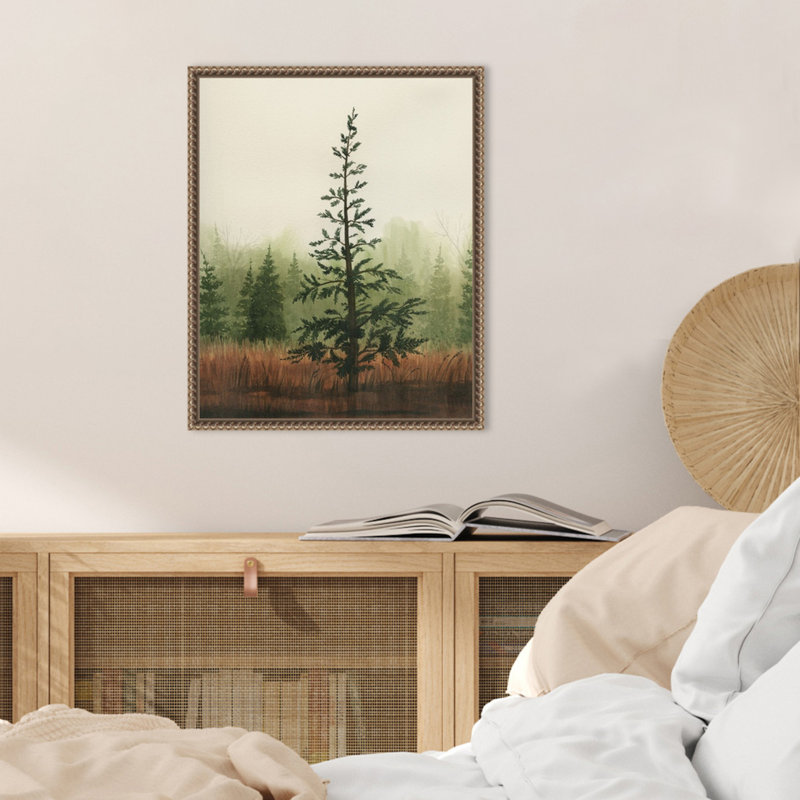 «Young Evergreen II» par Grace Popp, reproduction d'art sur toile encadrée, 16" H x 19.6" W