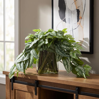 Scindapsus dans un vase en verre