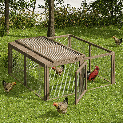 Cage à poules en bois 45,5 po Daymin