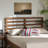 Cordae Spindle Headboard, Modern & Contemporary Style in Brown Finish, 49.8" H X 55.8" W X 0.80" D