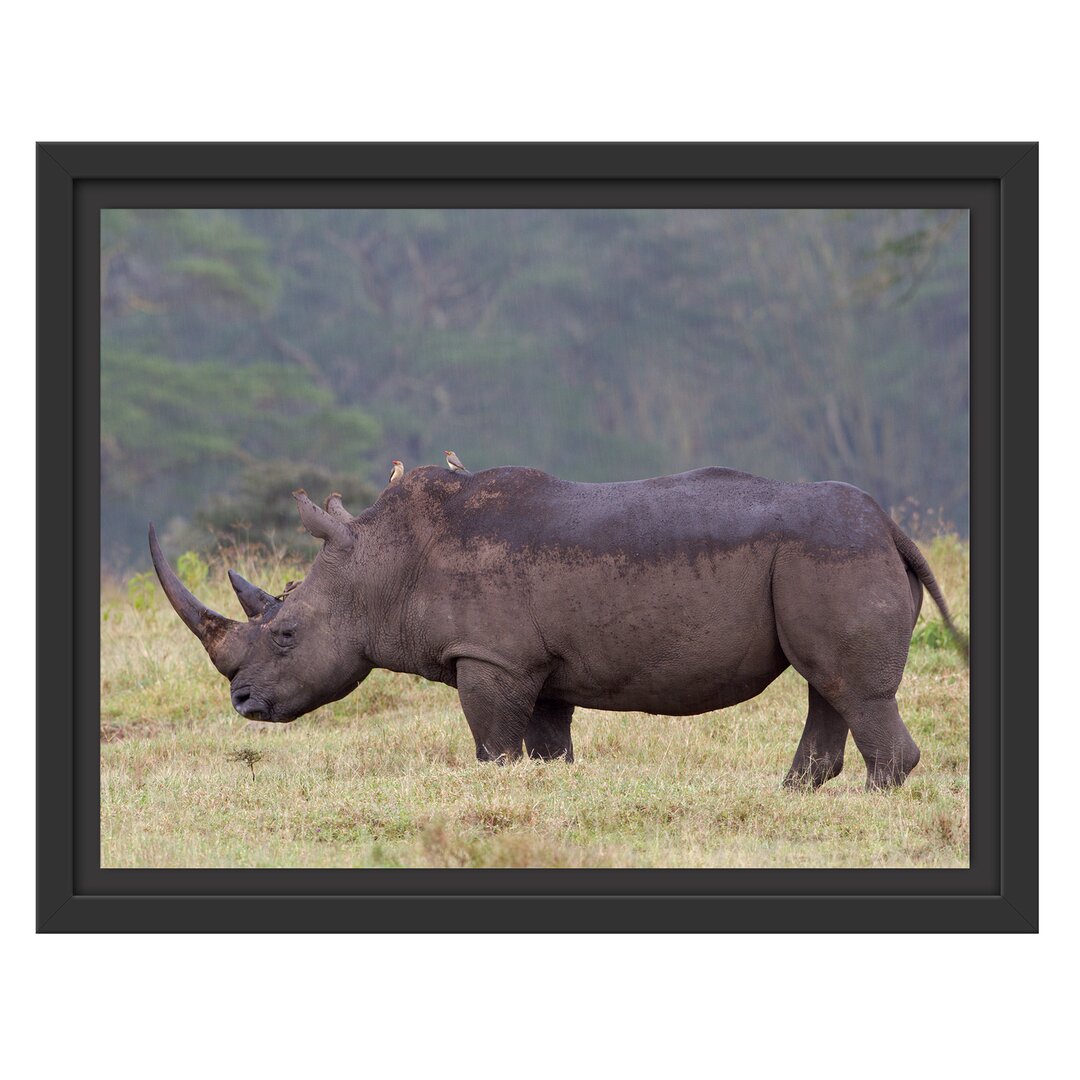 Gerahmtes Wandbild großes Nashorn in der Savanne