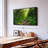 Forest Stream Canvas Print-102354266
