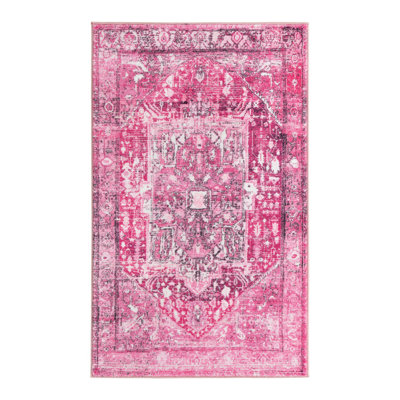 Oriental Indoor Rug