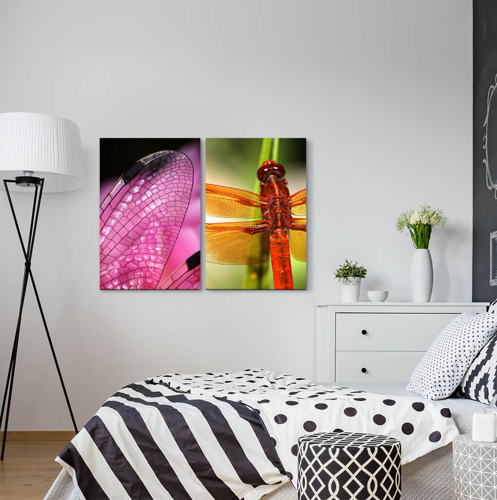 2-tlg. Leinwandbilder-Set - Fotografie „Dragonfly Wings Nature Pink”