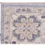 Wool Oriental Area Rug in Ivory