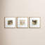 Grammercy I S/3 Print by Nicoll