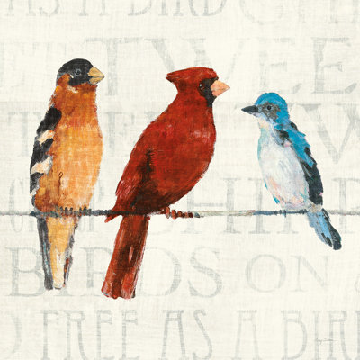 The Usual Suspects Bird Line I - impression d'un seul cadre photo