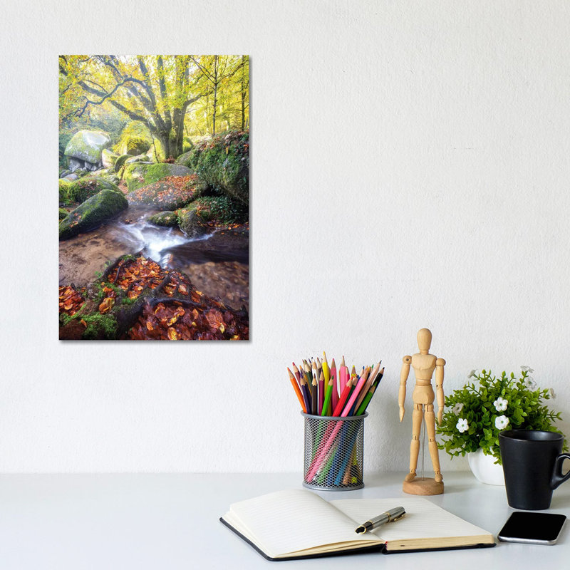 Huelgoat Magic Forest by Philippe Manguin - Wrapped Canvas Gallery-Wrapped Canvas Giclée