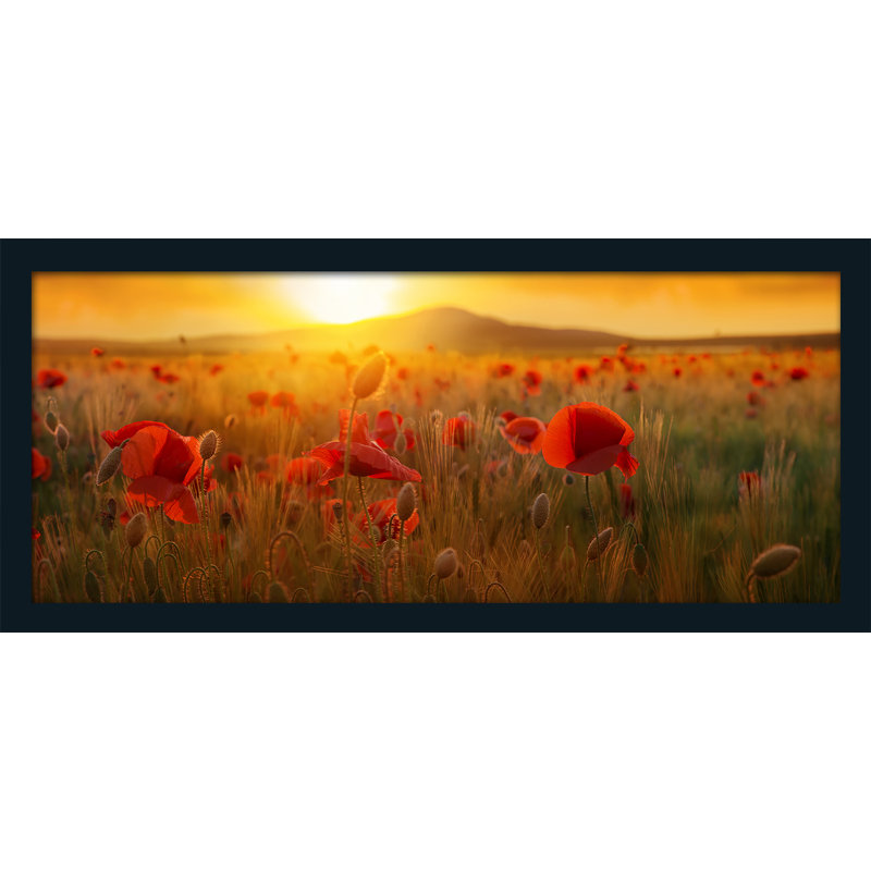Landscape Harmony - Single Picture Frame Print