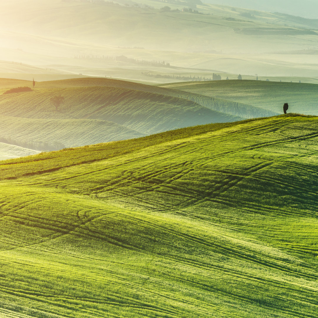 Typische Landschaft aus der Toskana von Gehringj - Kunstdrucke