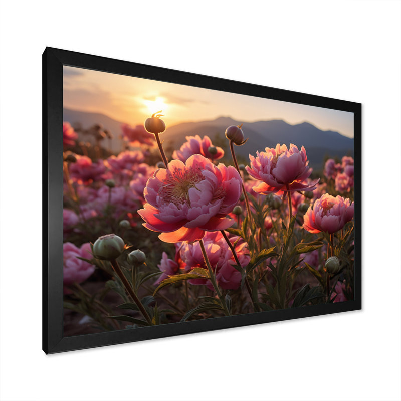Champ de pivoines roses avec coucher de soleil sur toile, H 16 po x l 32 po x P 1 po, Cadre simple noir
