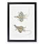 Dragon Lizard by John Edward Gray - Picture Frame Painting Print-55545484-55545485