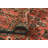 Khurram Distressed Alger Rust Runner