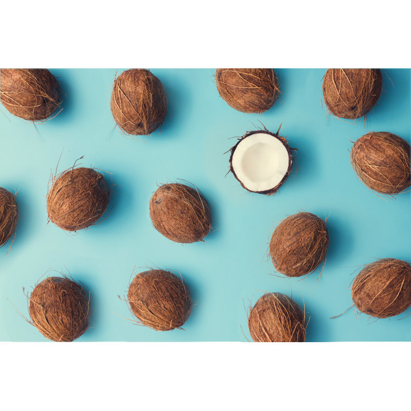 Coconut Fruit by Ivan101 - Wrapped Canvas Print, 30cm H x 46cm W