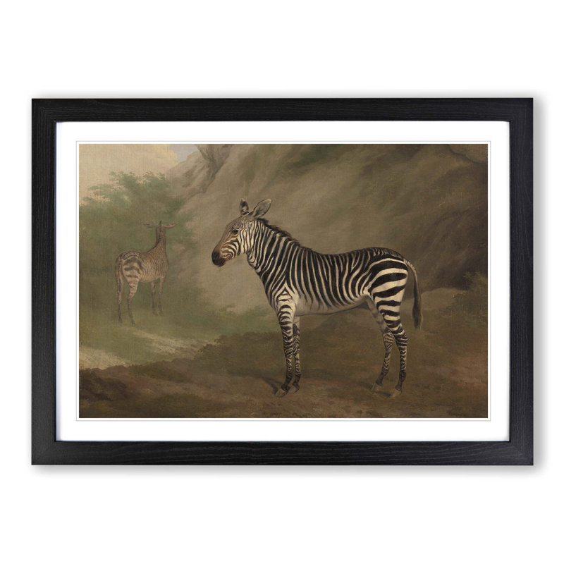 Zebra by Jacques-Laurent Agasse - Framed Print, Black